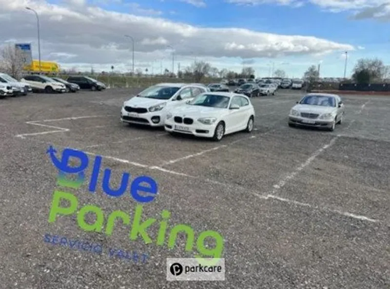 Blue Parking Madrid imagen 4